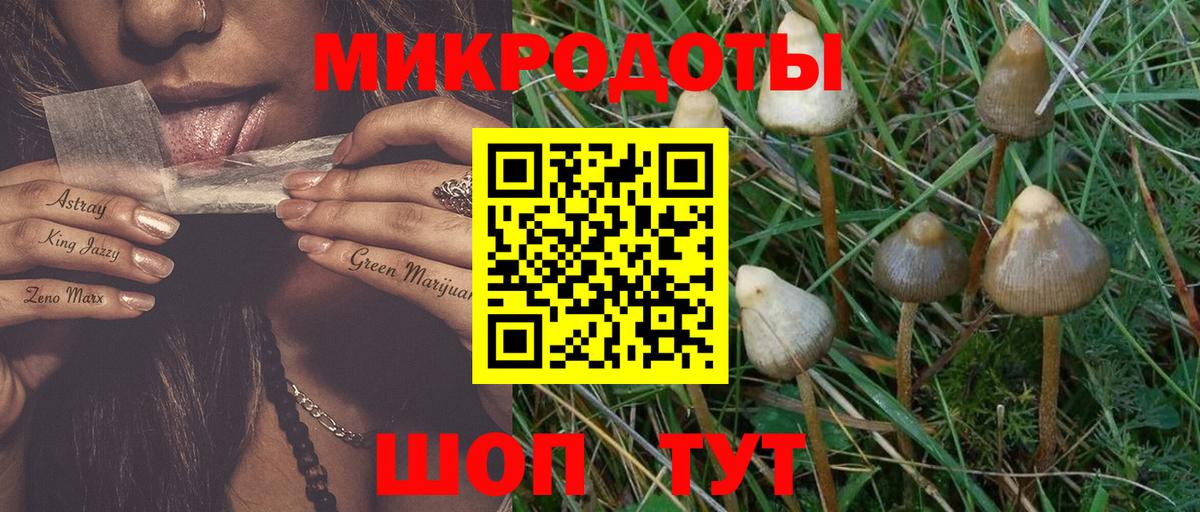 Крымск  Галлюциногенные грибы мухоморы  Вход с VPN 